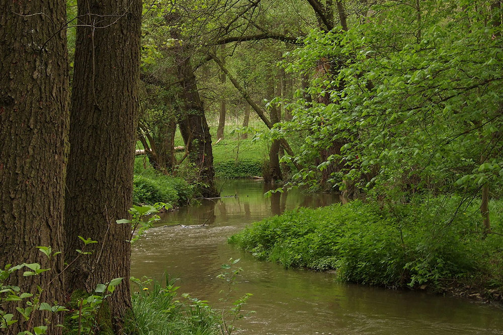 images/meandry.jpg